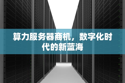 算力服务器商机，数字化时代的新蓝海