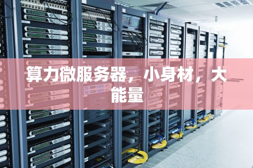 算力微服务器，小身材，大能量