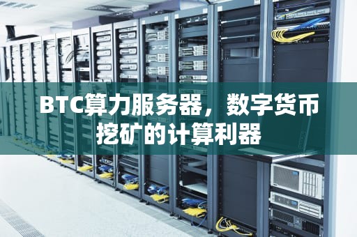 BTC算力服务器，数字货币挖矿的计算利器