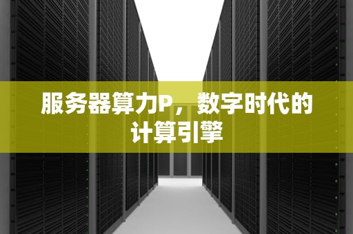 服务器算力P，数字时代的计算引擎
