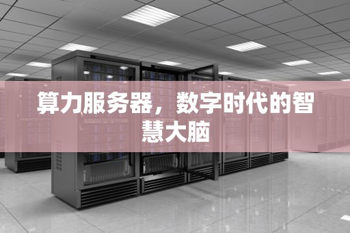 算力服务器，数字时代的智慧大脑