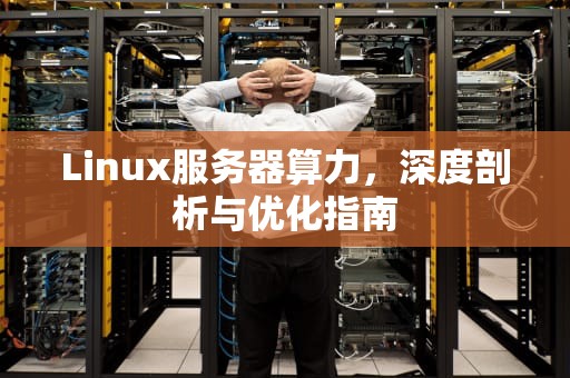 Linux服务器算力，深度剖析与优化指南
