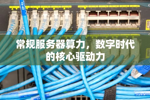 常规服务器算力，数字时代的核心驱动力