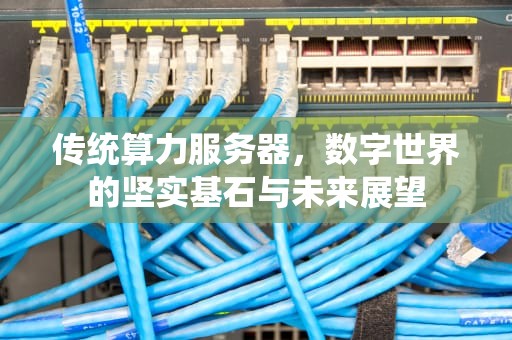 传统算力服务器，数字世界的坚实基石与未来展望