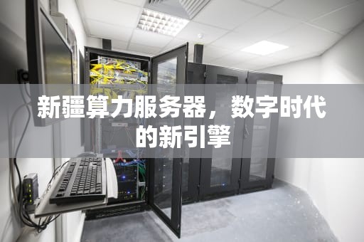 新疆算力服务器，数字时代的新引擎