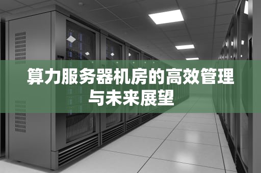 算力服务器机房的高效管理与未来展望