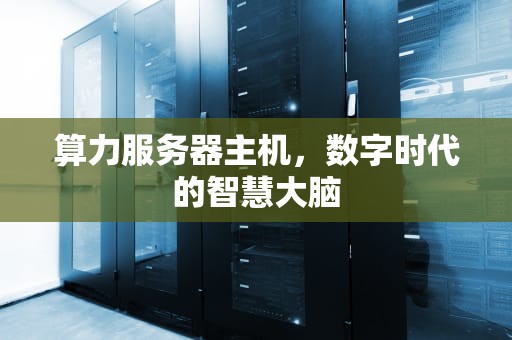 算力服务器主机，数字时代的智慧大脑
