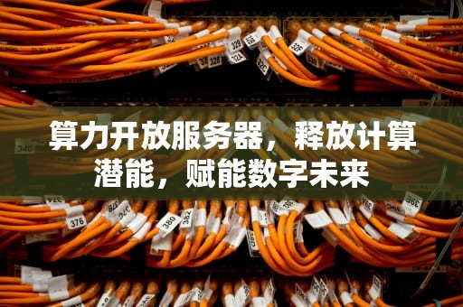 算力开放服务器，释放计算潜能，赋能数字未来