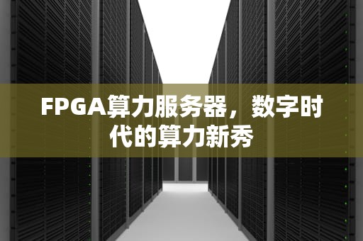 FPGA算力服务器，数字时代的算力新秀