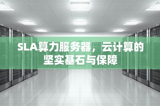SLA算力服务器，云计算的坚实基石与保障