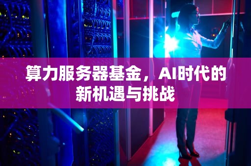 算力服务器基金，AI时代的新机遇与挑战