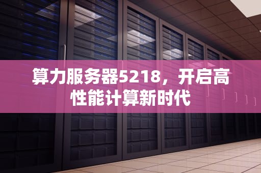 算力服务器5218，开启高性能计算新时代