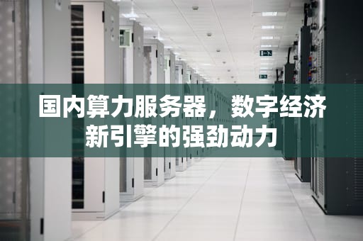 国内算力服务器，数字经济新引擎的强劲动力