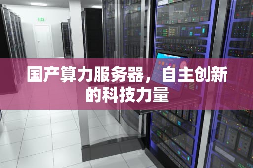 国产算力服务器，自主创新的科技力量