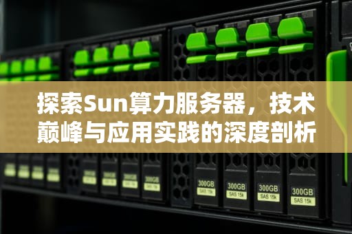 探索Sun算力服务器，技术巅峰与应用实践的深度剖析