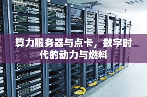 算力服务器与点卡，数字时代的动力与燃料