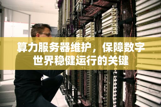 算力服务器维护，保障数字世界稳健运行的关键