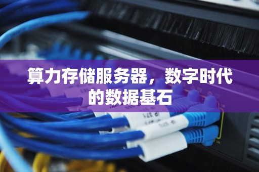 算力存储服务器，数字时代的数据基石