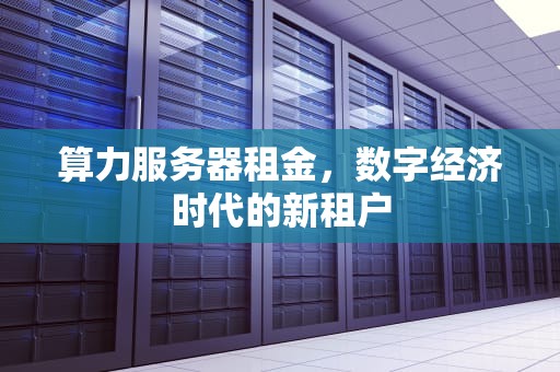 算力服务器租金，数字经济时代的新租户