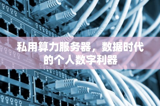 私用算力服务器，数据时代的个人数字利器