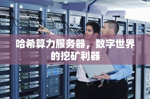 哈希算力服务器，数字世界的挖矿利器
