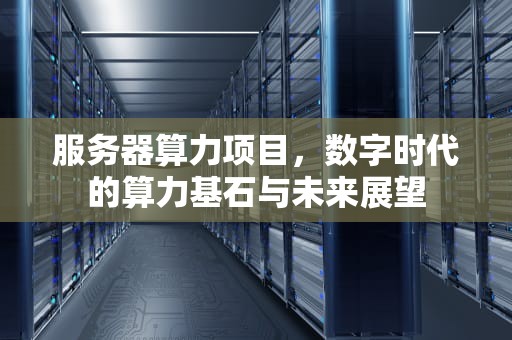 服务器算力项目，数字时代的算力基石与未来展望