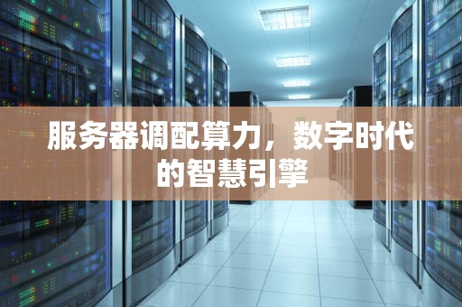 服务器调配算力，数字时代的智慧引擎