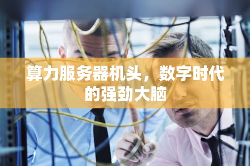 算力服务器机头，数字时代的强劲大脑