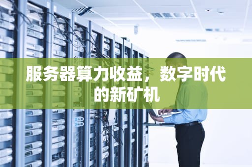 服务器算力收益，数字时代的新矿机