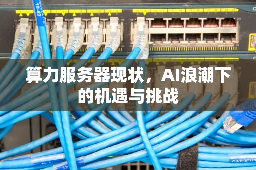 算力服务器现状，AI浪潮下的机遇与挑战