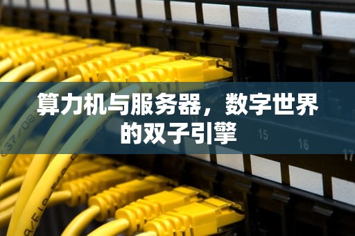 算力机与服务器，数字世界的双子引擎