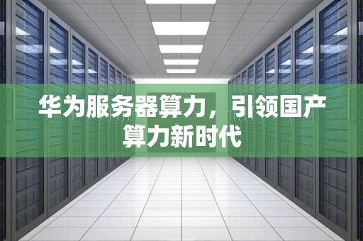 华为服务器算力，引领国产算力新时代