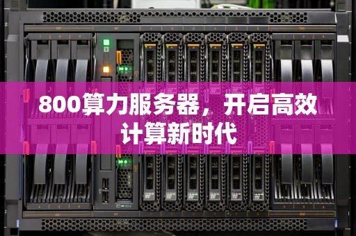 800算力服务器，开启高效计算新时代
