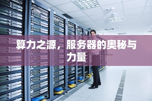 算力之源，服务器的奥秘与力量