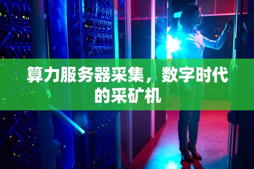 算力服务器采集，数字时代的采矿机