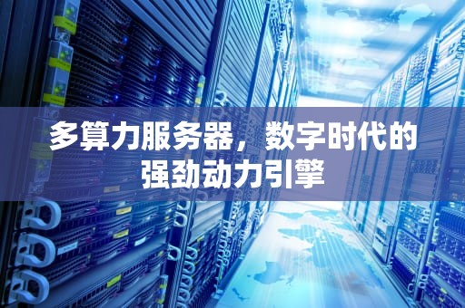 多算力服务器，数字时代的强劲动力引擎