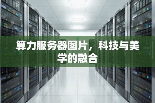 算力服务器图片，科技与美学的融合