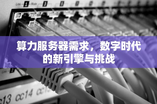 算力服务器需求，数字时代的新引擎与挑战