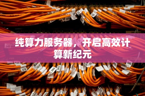 纯算力服务器，开启高效计算新纪元