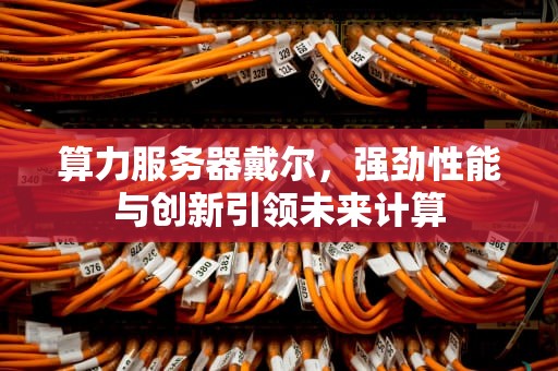 算力服务器戴尔，强劲性能与创新引领未来计算