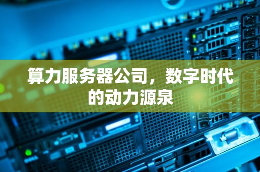 算力服务器公司，数字时代的动力源泉