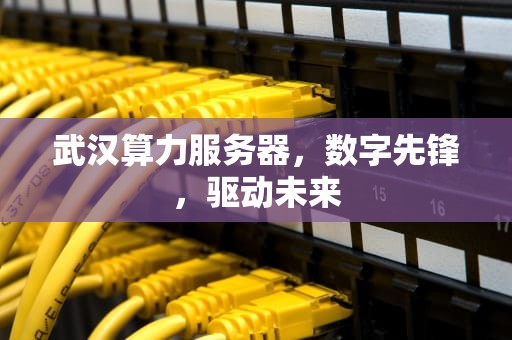 武汉算力服务器，数字先锋，驱动未来
