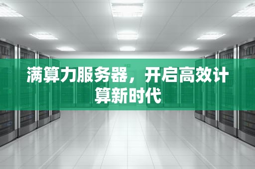 满算力服务器，开启高效计算新时代