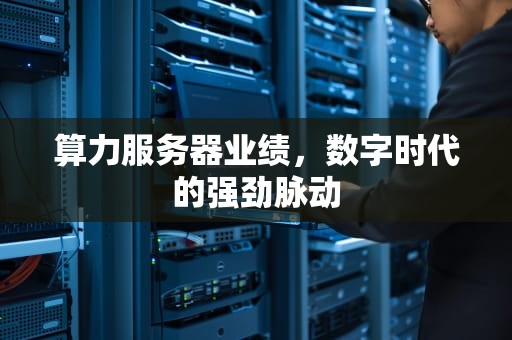 算力服务器业绩，数字时代的强劲脉动