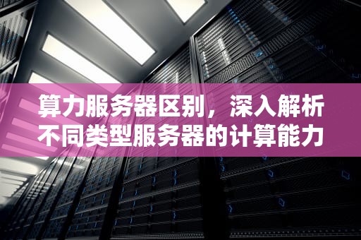 算力服务器区别，深入解析不同类型服务器的计算能力与特性