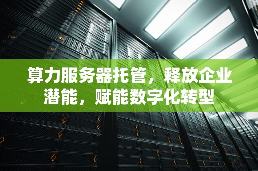 算力服务器托管，释放企业潜能，赋能数字化转型