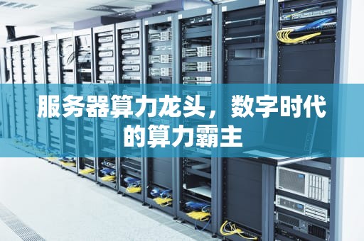 服务器算力龙头，数字时代的算力霸主