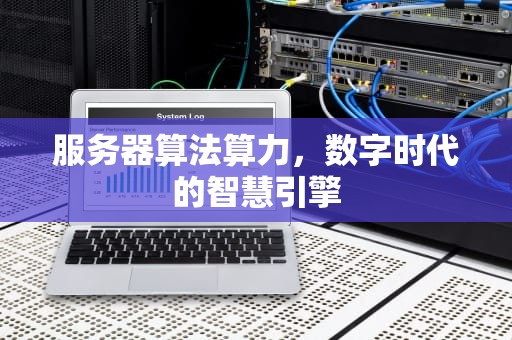 服务器算法算力，数字时代的智慧引擎