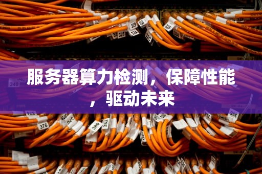 服务器算力检测，保障性能，驱动未来