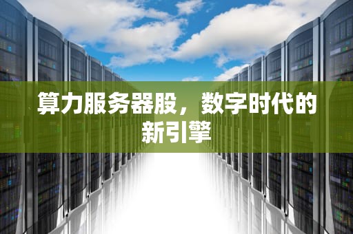 算力服务器股，数字时代的新引擎